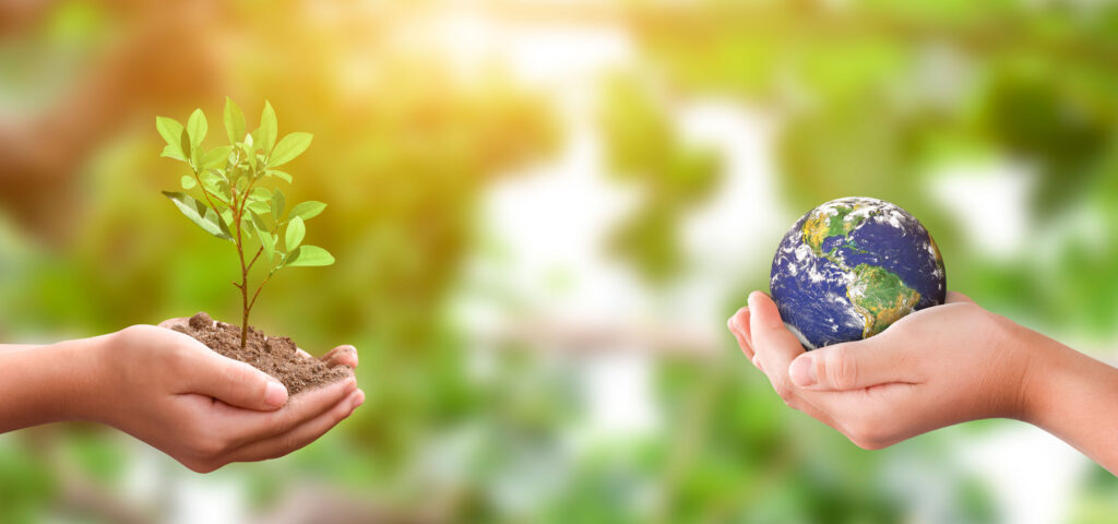 Gestión del Medio Ambiente
